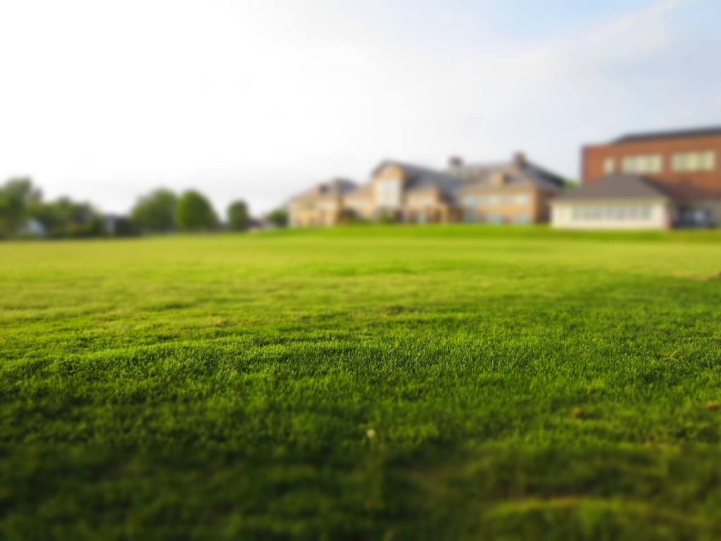 lawn with houses